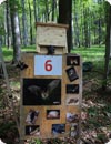 Wienerwaldcup